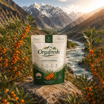 Sea Buckthorn Barrie's